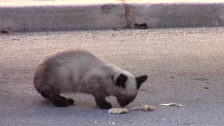 /mdimg/9kAYZAEmn7g.jpg /mdimg/9kAYZAEmn7g.jpg